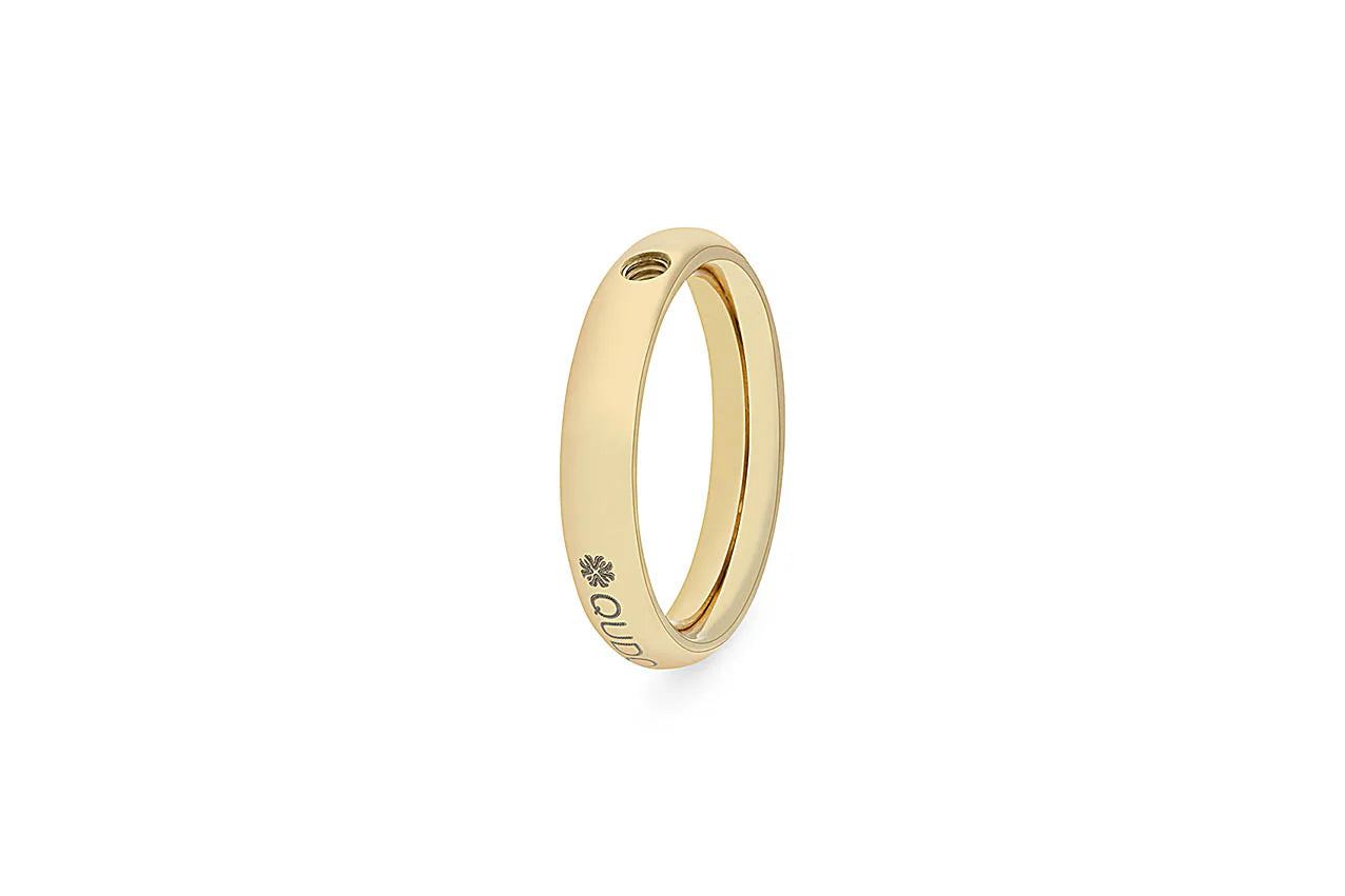 Basic small ring 10