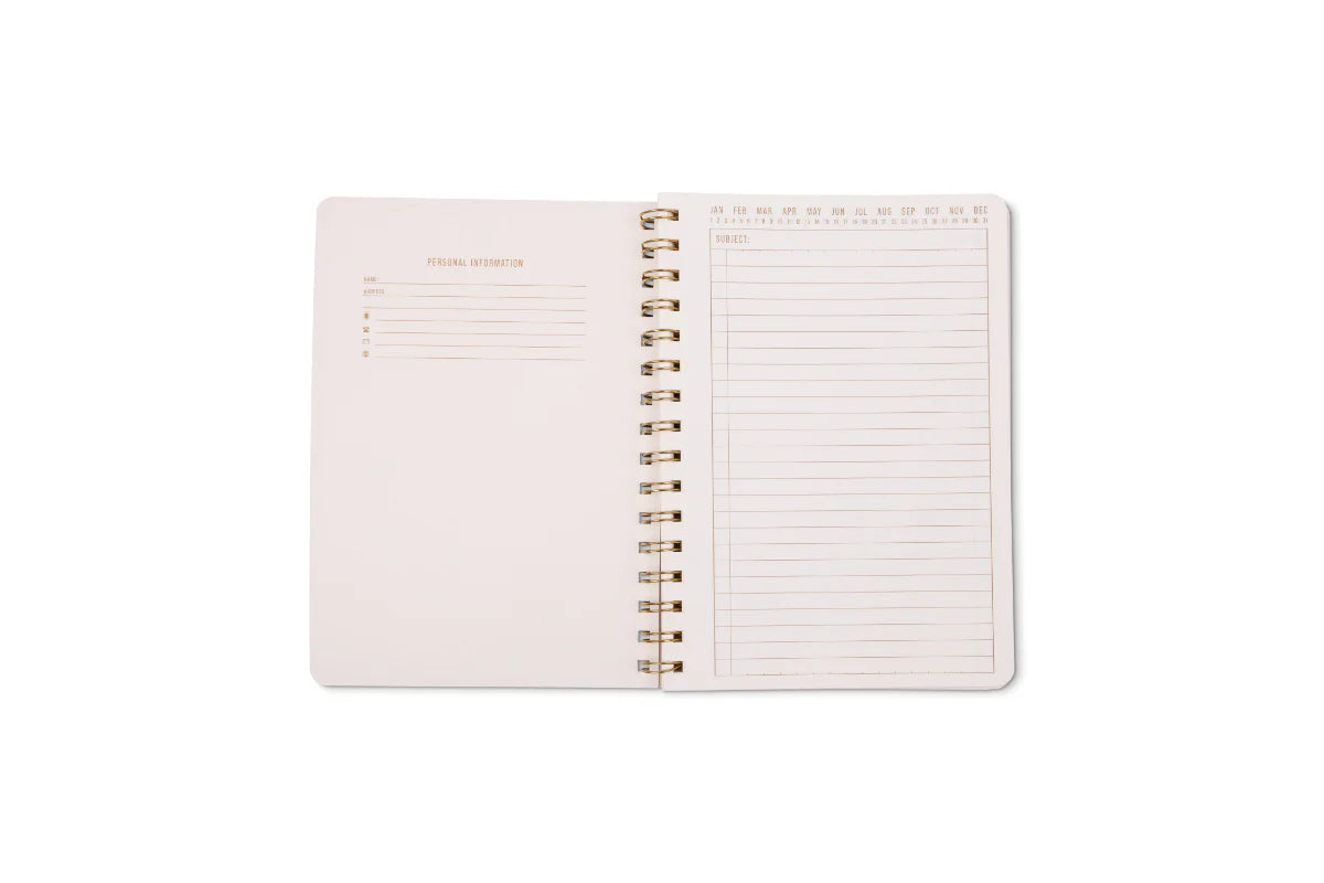 Petit cahier de notes pinwheel pink - Designworks ink