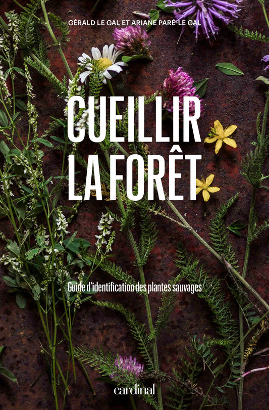 Cueillir la forêt
