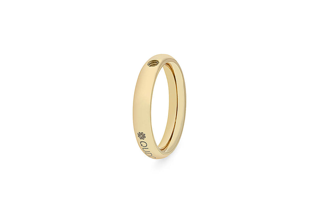 Basic small ring 5