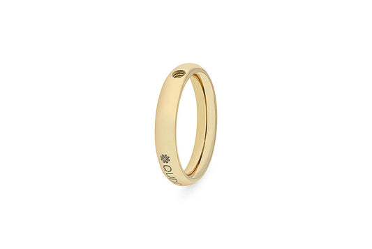 Basic small ring 5