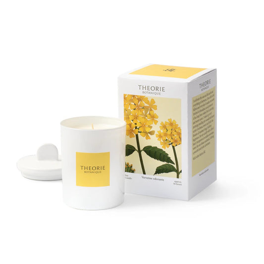 Chandelle verveine odorante - Théorie botanique